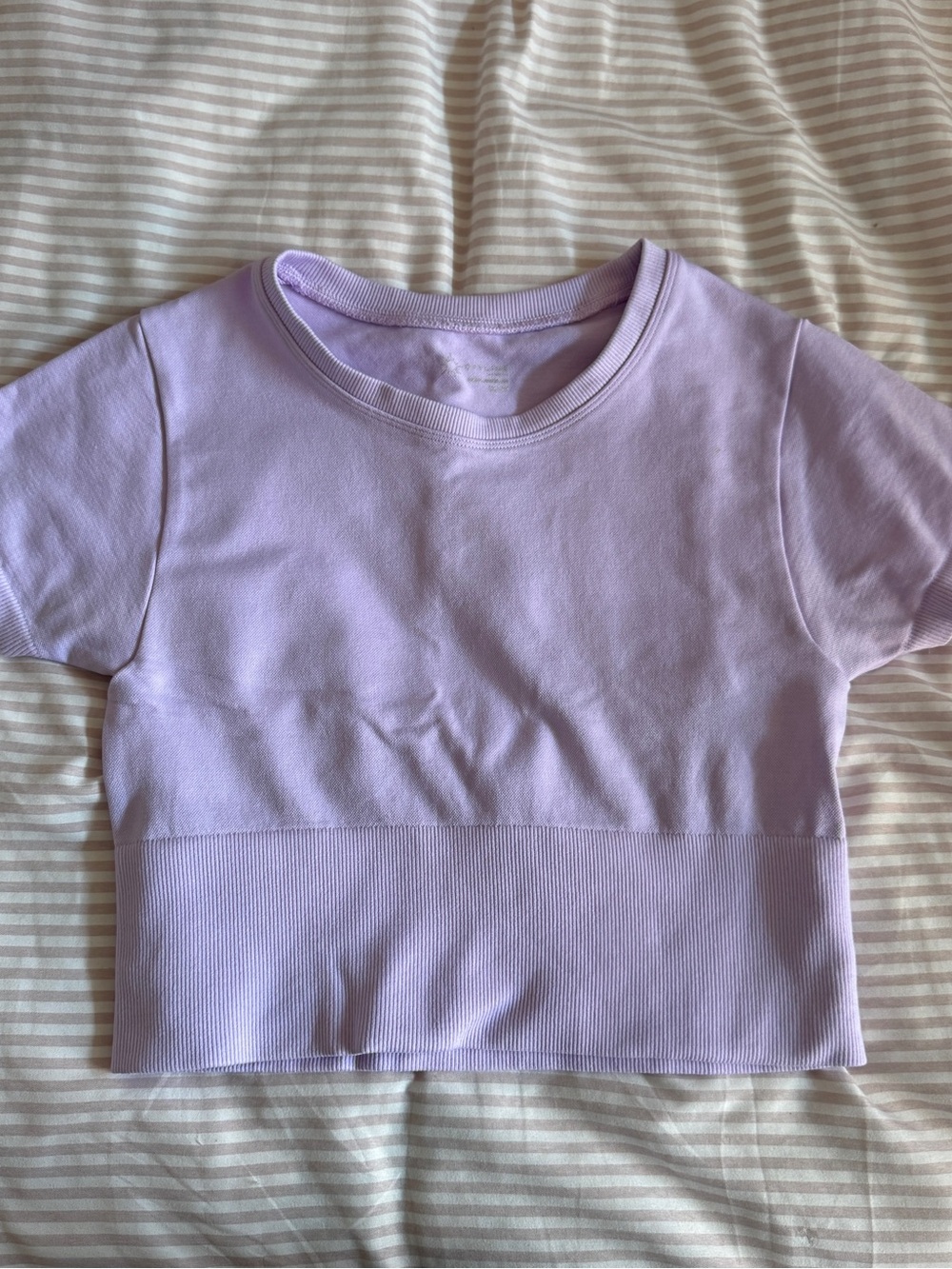 Aerie lilac short Sleeve workout Top
